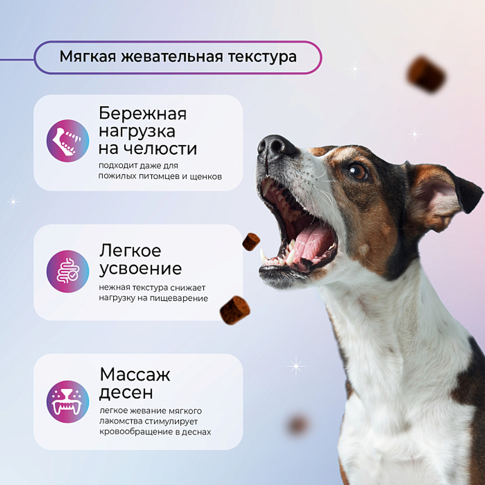 Функциональное лакомство Favet PetPantel Soft Chews для мышц и суставов для собак, 120г