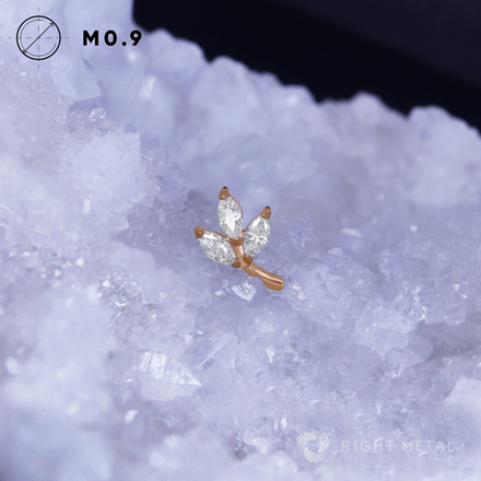 Fondness Crystal PVD Rose