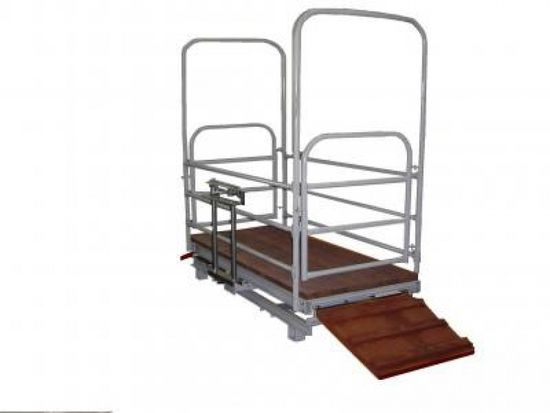 Механические весы ВТ 8908-1000СХ для молодняка КРС и свиней