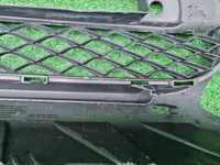 Решетка перед. бампера Mercedes G W463 (18-24) AMG