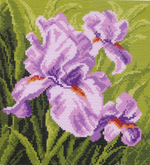 "Ирис"-0603/1 канва с рисунком