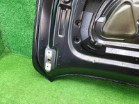 Капот Voyah Dream (2021-н.в.)