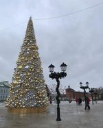 Световая конструкция «Шароель»