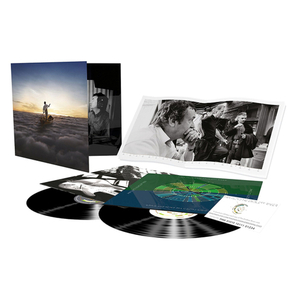 Pink Floyd / The Endless River (2LP)