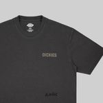  Футболка мужская Dickies High Flying Workwear артикул:DK0A863ABLK1 - купить в магазине Дайс