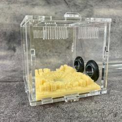 Арена для муравьев, мини формикарий с инсталляцией