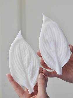 Вайнер лист Хосты ClayCraft by DECO™