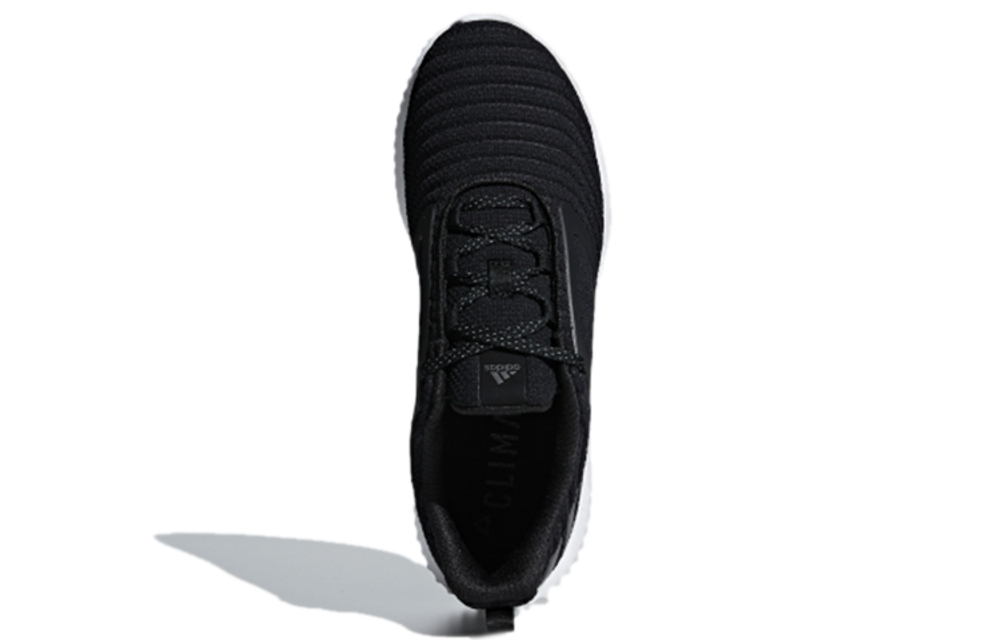Кроссовки Adidas Climawarm All Terrain
