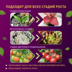 Светодиодная лента для растений ЭРА FITO-Strip Light-RB-2m красно-синего спектра, 2 м, IP65 с адаптером 12V в комплекте | Светодиодные ленты для растений