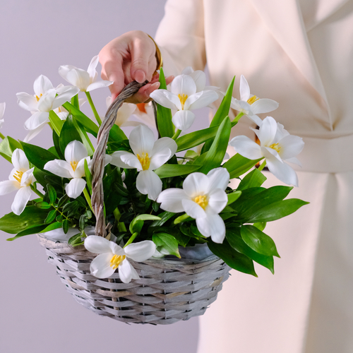 Купить Композиция с белыми тюльпанами