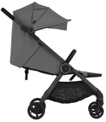 Детская коляска Anex iQ Basic NT 2 в 1 Lune