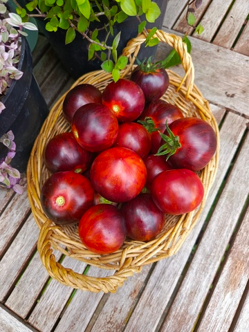 Клубничный полосатый водопад сорт томата