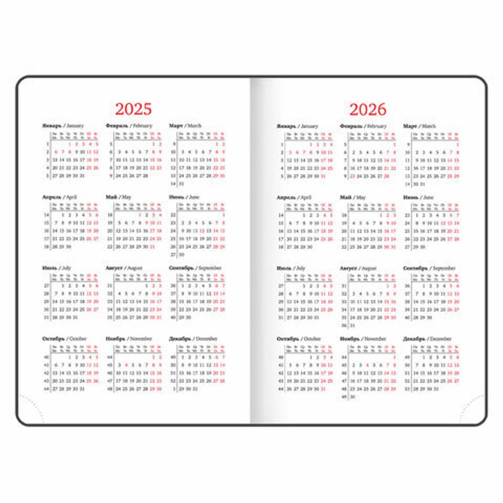 Ежедневник датированный 2025, А5, 138x213 мм, BRAUBERG "Favorite", под кожу, темно-синий, 115761