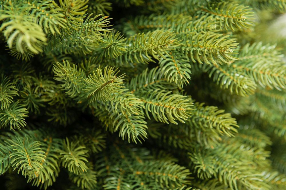 Ель искусственная «Эрмитажная» (Литая хвоя) 3 м