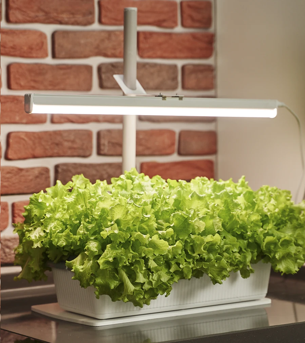 Фитосветильник «РАСТУЩИЙ светильник 16 Вт»