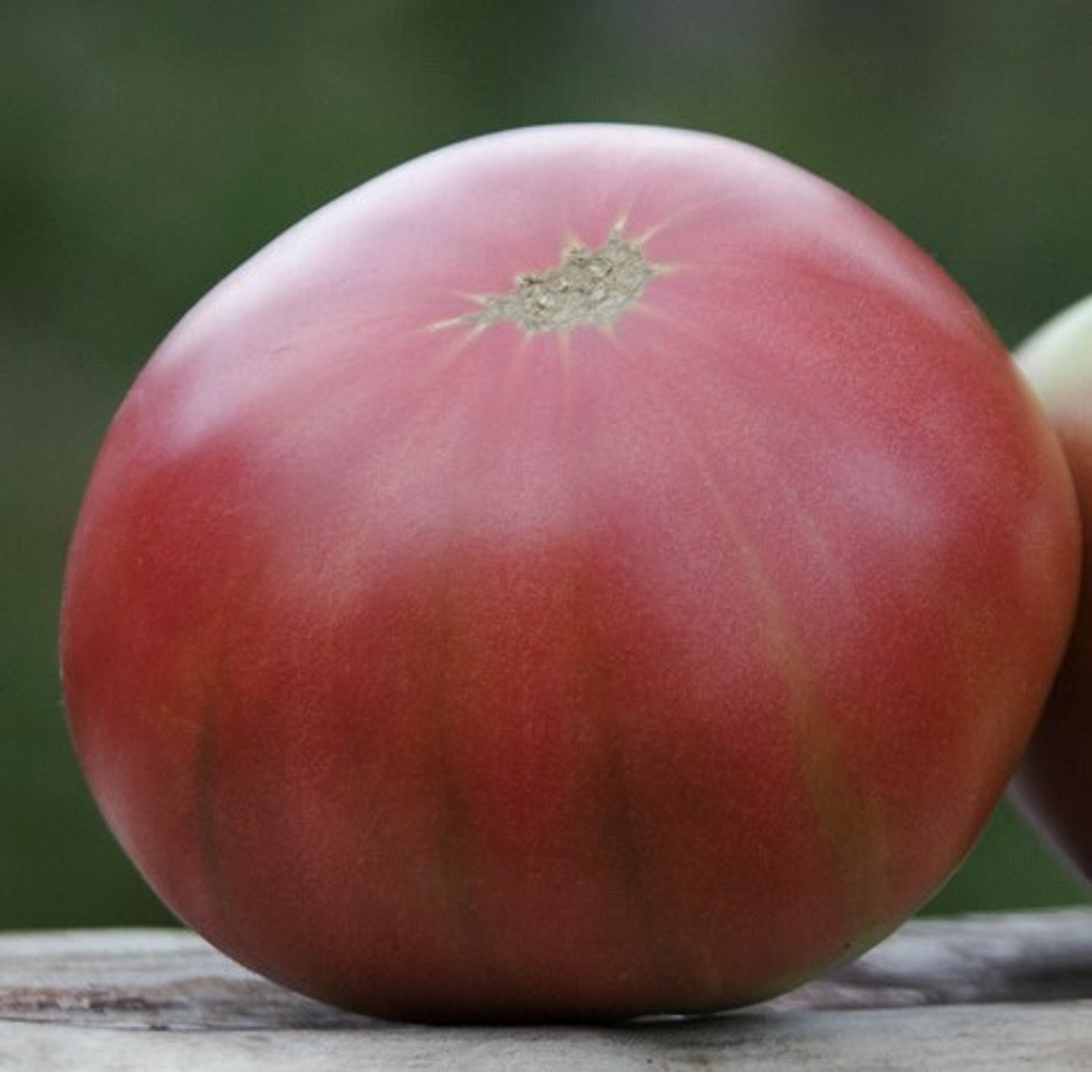Не фиолетовая клубника / Not Purple Strawberry