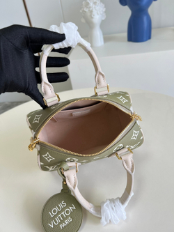 Louis Vuitton Speedy 20