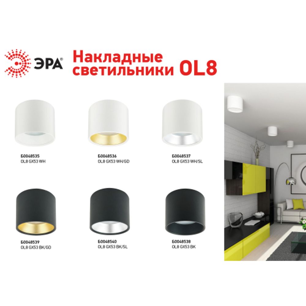 Светильник накладной ЭРА OL8 GX53 BK/GD под лампу GX53 черный/золото | Накладные светильники