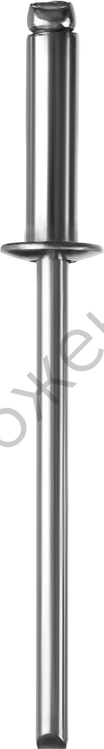 ЗУБР 6.4 х 12 мм, нержавеющие заклепки, 250 шт, Профессионал (31316-64-12)