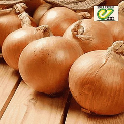 Зои F1 семена лука репчатого (Enza Zaden / Энза Заден)