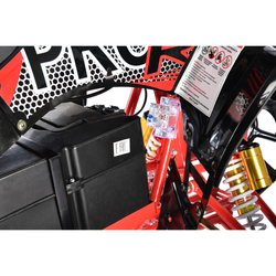 Электроквадроцикл White Siberia SNEG PRO R 3000W Черный