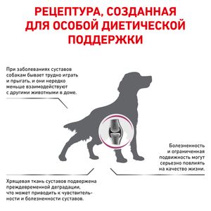 Корм для собак, Royal Canin Mobility MC 25 C2P+, при заболеваниях опорно-двигательного аппарата