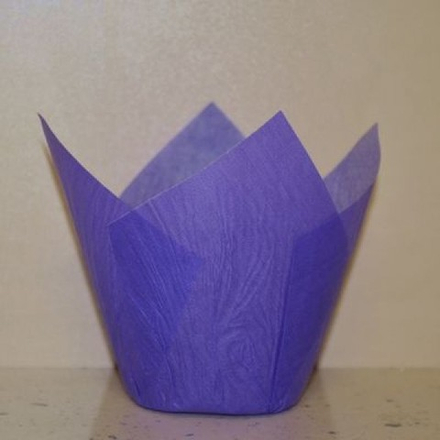 Капсула Тюльпан фиолетовая (20 шт)