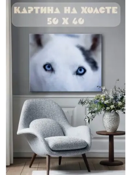 Картина на стену 40 X 50 Глаза собаки