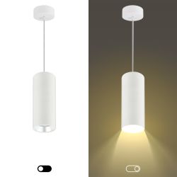 Светильник подвесной ЭРА PL12 GX53 WH/SL под лампу GX53 белый/серебро | Подвесные светильники