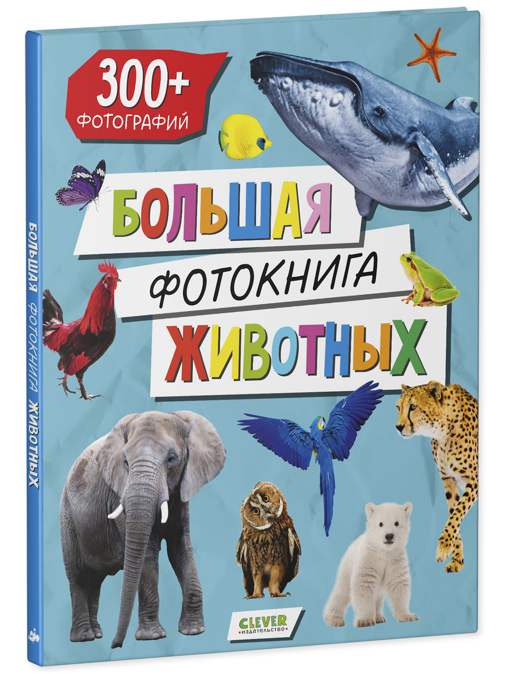 Первые книжки малыша. Большая фотокнига животных