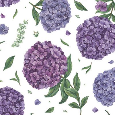 Гортензии (белый)