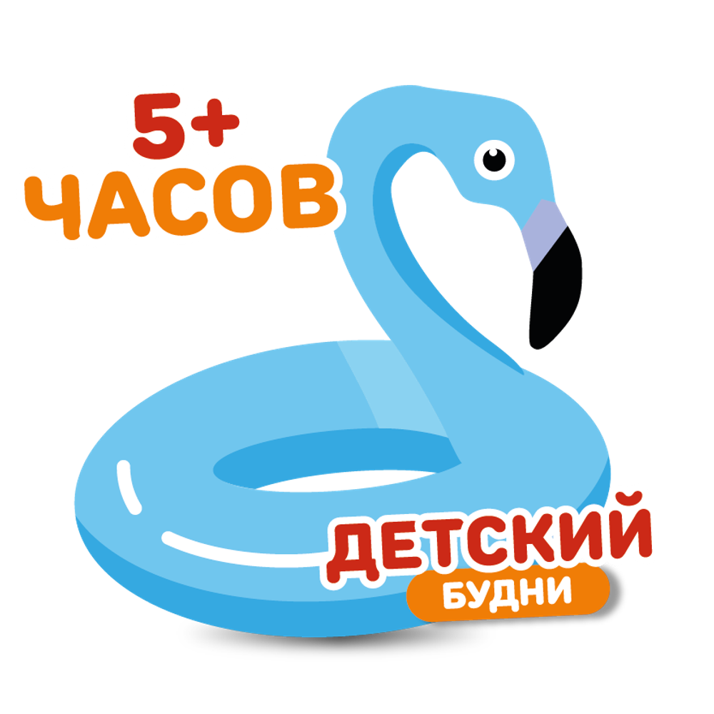 На июль детский билет на тариф "5+ часов" (будние дни). 398₽/ 1 час