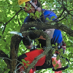 Пила Silky ZUBAT 270mm