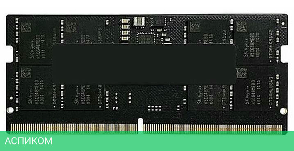 Оперативная память AMD Radeon Entertainment 8GB DDR5 (R558G4800S1S-U)