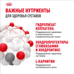 Royal Canin Maxi Joint Care Корм сухой для взрослых собак крупных размеров 10кг