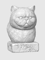 Экзотическая Короткошерстная Кошка