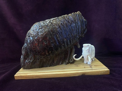 Мамонт у скалы