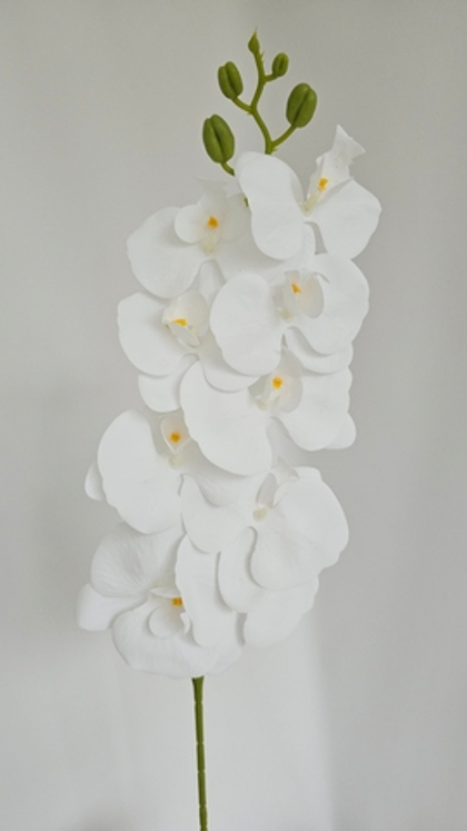 Орхидея / Арт 2237