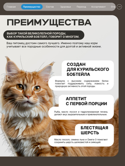 Корм сухой для взрослых кошек породы Курильский бобтейл, с лососем, 5 кг, QUATTRO
