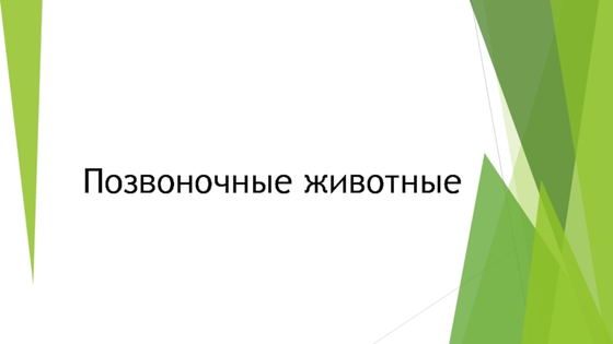 Комплект моделей "Позвоночные животные" (8 шт.)