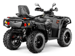 Квадроцикл AODES PATHCROSS 800L EPS 2025, двухместный
