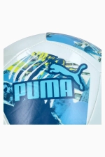 Футбольный мяч Puma Manchester City 24/25 ftblNRGY размер 5 - голубой