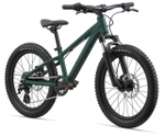 Детский велосипед Giant STP 20 FS (2021)