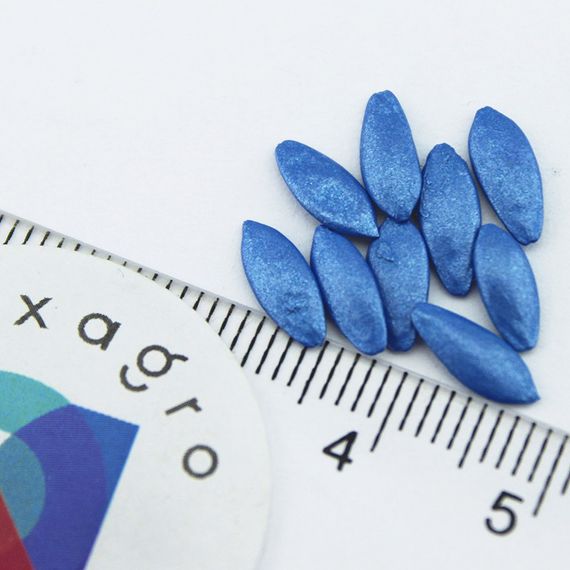 ПАСАЛИМО F1 семена огурца Syngenta купить