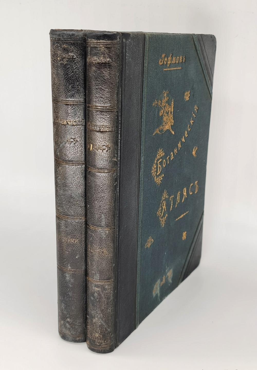 "Ботанический атлас по системе де-Кандоля". К.Гофман. 1899 г. - редкая книга