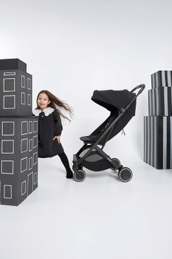 Детская прогулочная коляска Anex Air-X2 Nero