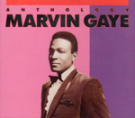 Marvin Gaye / Anthology (2CD)