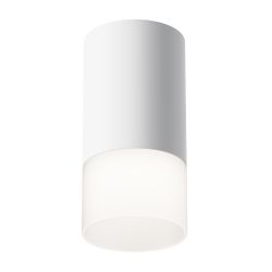 Светильник потолочный Maytoni   C007CW-01W