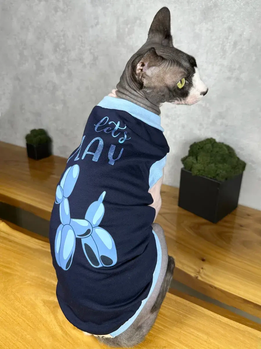 Одежда для кошек сфинкс и собак